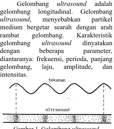 Gambar 1. Gelombang ultrasound  