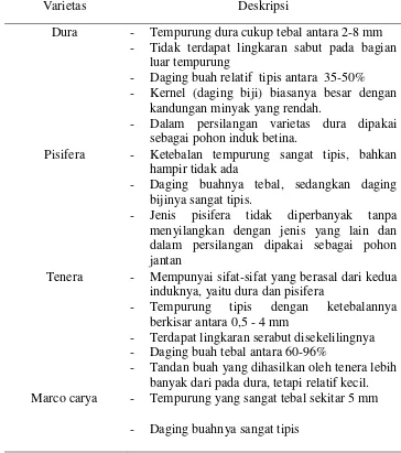 Tabel 2.1. Varietas Kelapa Sawit Berdasarkan Ketebalan Tempurung dan Daging Buah 