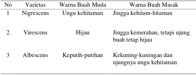 Tabel 2.2. Varietas Berdasarkan Warna Kulit Buah 