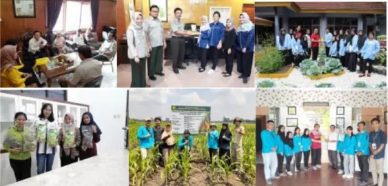 Gambar 1. Mahasiswa Magang di BPTP Riau  b.  Kerjasama dengan SMK  