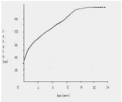 Fig. 1. Task 1: a line graph of baby’s weight growth   