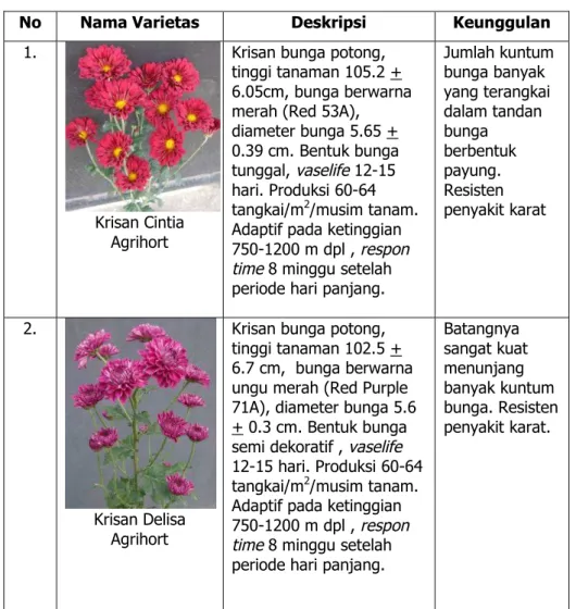 Tabel 14. VUB Krisan mutan tipe spray dan standar