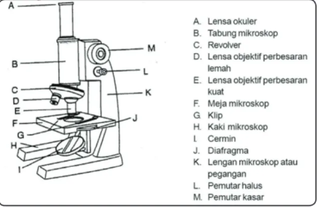 Gambar bagian-bagian mikroskop.