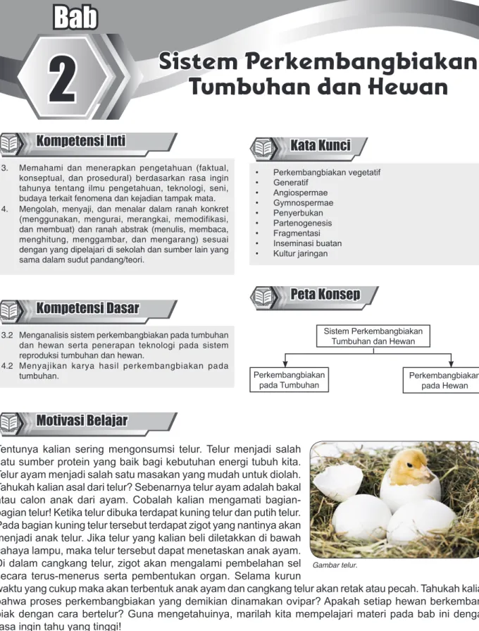 Gambar telur.