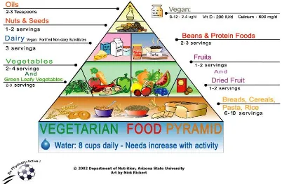 Gambar 2.1.  Piramida Makanan untuk Kelompok Vegetarian 