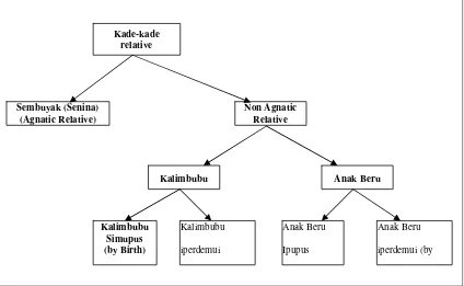 Gambar 2. Structure of Kade-kade Categories (Masri Singarimbun 1975: 97) 
