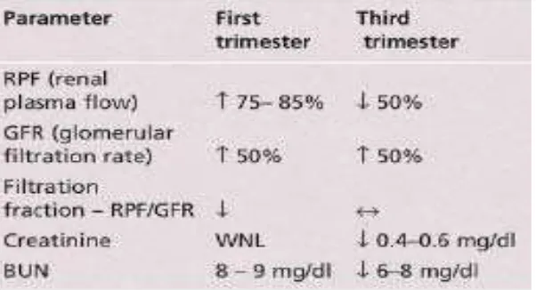 Tabel 2.2-3. Perubahan fungsi ginjal pada ibu hamil28 
