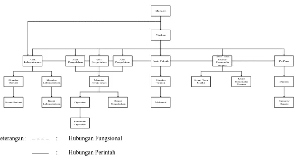Gambar 2.1. Struktur Organisasi PT. Perkebunan Nusantara III Pabrik Kelapa Sawit (PKS) Aek Nabara Selatan