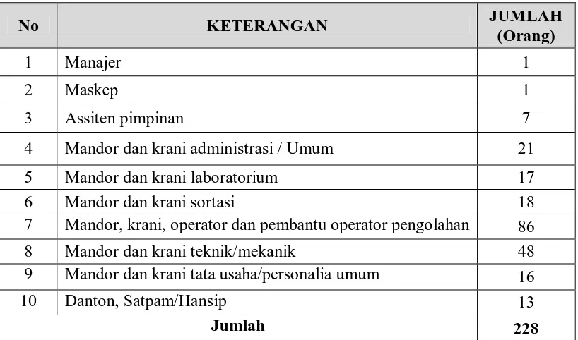 Tabel 2.1. Susunan dan Jumlah Tenaga Kerja PTPN III PKS 