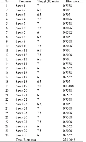 Tabel Plot Pengukuran Cadangan Carbon TM (12 tahun) Pada Tegakan Sawit 