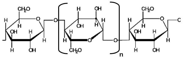 Gambar 2.1 Struktur Kimia Selulosa   