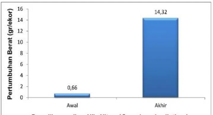 Gambar  5.  Diagram  Pertumbuhan  berat  rata-rata  (cm)  Ikan  Nila  Hitam  yang  dibudidaya  di  Ember selama 2 bulan