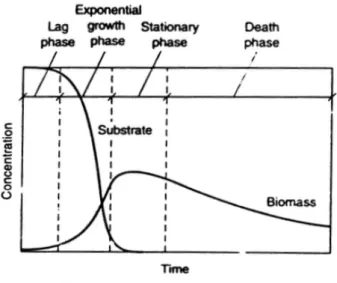 Gambar 1. Fase pertumbuhan bakteri dalam  reaktor batch (Supradata, 2005) 
