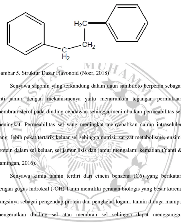 Gambar 5. Struktur Dasar Flavonoid (Noer, 2018) 