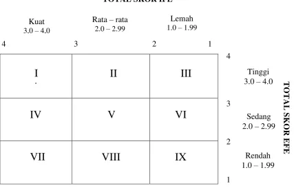 Gambar 1  Matriks IE 