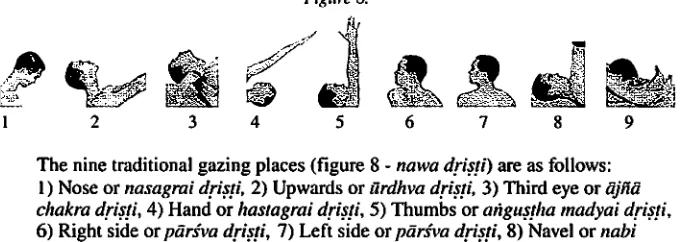 Figure 8. Siiryanamaskara. (Figure 10). 