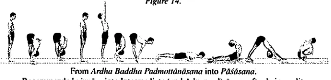 Figure 14. Miila Bandlla The breath, movement (vinyiisa) and bandha are all inextricably linked