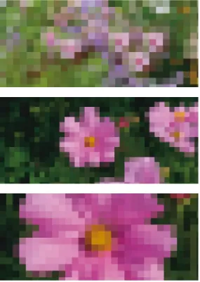 Fig. 4.2  A consequence of the rough array of dots in the visual world of a bee is that resolved only when they are close to it. optical details of an object, such as a flower that they are approaching in flight, are Above This is how a bee sees a flower scene from several meters away. Center At 30 cm away, the flowers will appear like this. Be-low Details of the flower are recognizable for the bee only from a distance of 5 cm