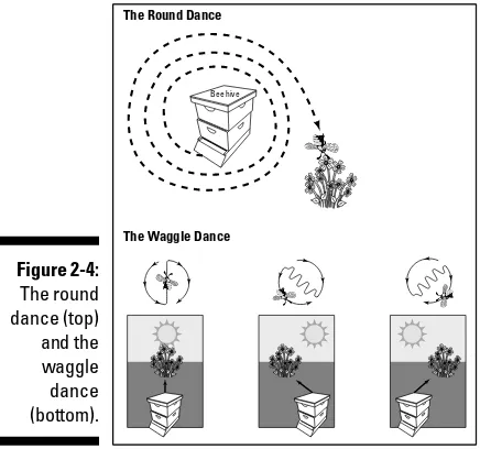 Figure 2-4: 