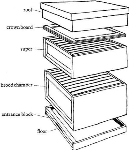 fig. 13 The Modified National hive. 