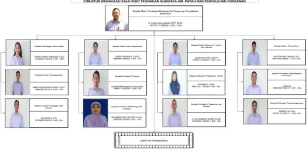 Gambar 2 .  Struktur Organisasi dan personel pemangku jabatan struktural di  Balai Riset Perikanan Budidaya Air Payau dan Penyuluhan  Perikanan (BRPBAPPP), Maros 