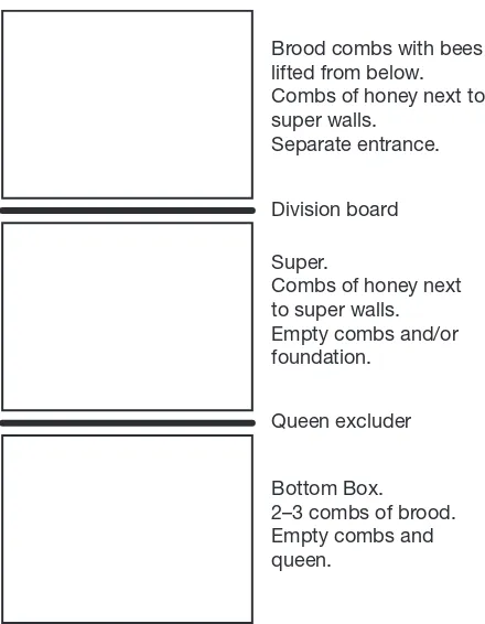 Figure 5. A method of swarm prevention. Division of a two-storey colony and introduction of a third box, queen excluder and division board.