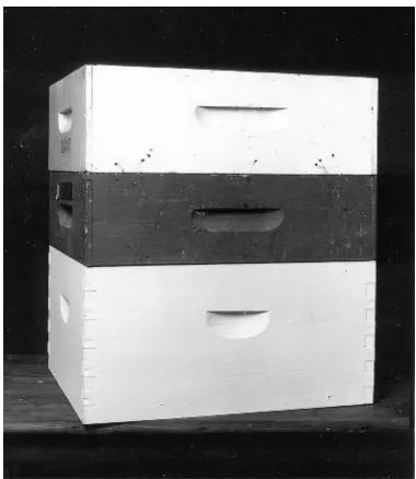 Fig. 6.1. A deep Langstroth brood comb. (Source: Nancy B. Evelyn.)
