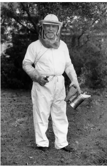Fig. 6.6. A hive tool. (Source: Nancy B. Evelyn.)