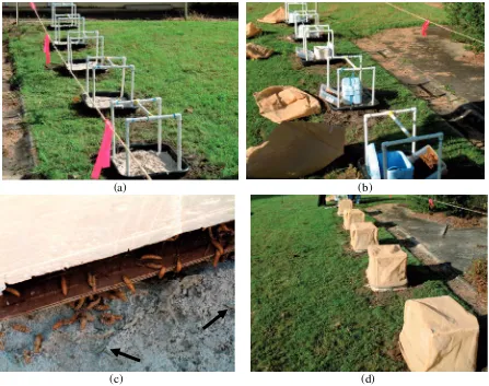 Figure 4. Design of the set up used in Trials 2–4. a) Plastic containers of sand with plastic tubing supports