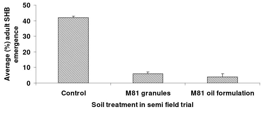 Figure 8. Average percentage of adult SHB emerging from untreated soil and soil treated with 