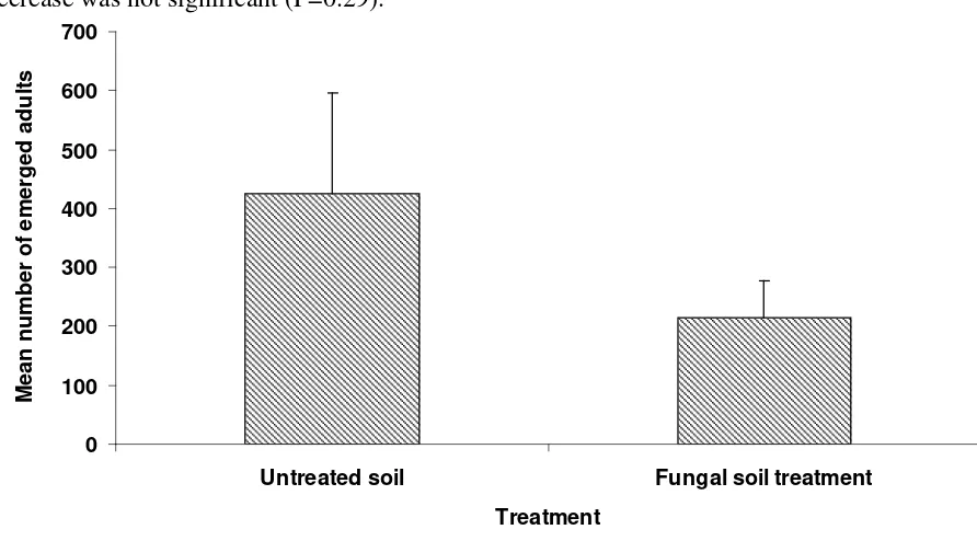 Figure 11. Mean number of adult SHB emerging from treated and untreated soil under pseudo-hives with SHB larvae emerging from a measured amount of ‘slime-out” in Trial 3 