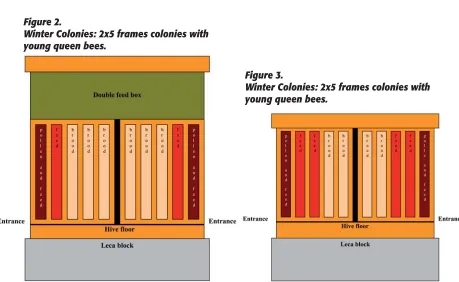 Figure 2.Winter Colonies: 2x5 frames colonies with 