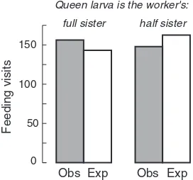 Figure 1.7Feeding visits of workers of twogenetically marked patrilines to queen cellscontaining developing queens