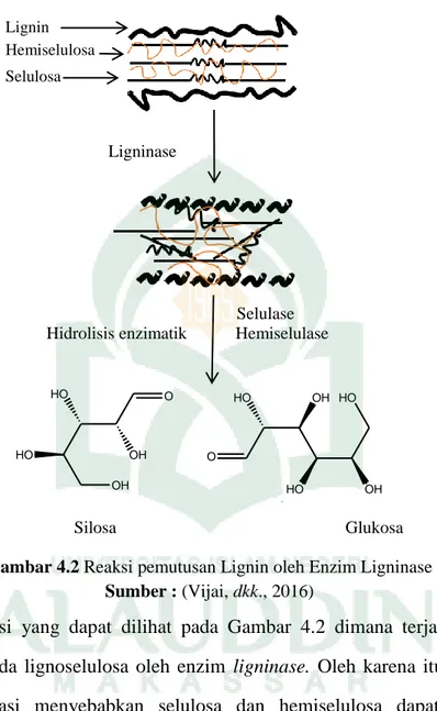 Gambar 4.2 Reaksi pemutusan Lignin oleh Enzim Ligninase  Sumber : (Vijai, dkk., 2016) 