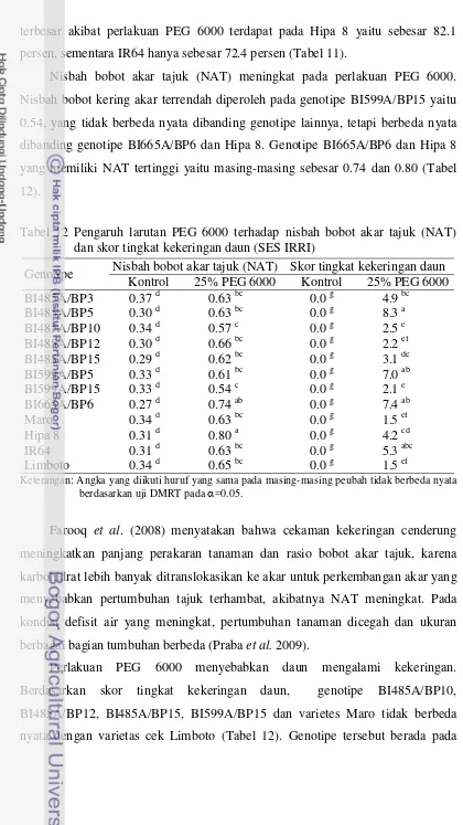 Tabel 12 Pengaruh larutan PEG 6000 terhadap nisbah bobot akar tajuk (NAT)  