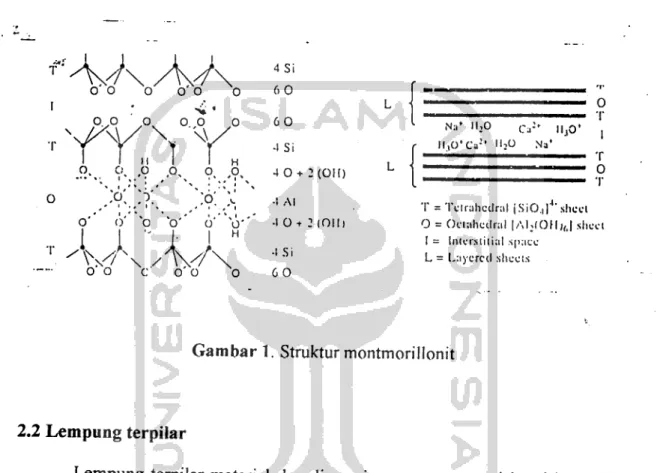 Gambar 1. Struktur montmorillonit