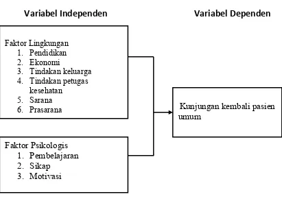 Gambar 2.3. Kerangka Konsep Penelitian 