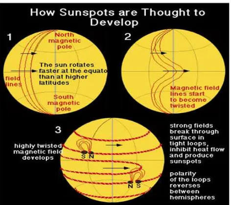 Gambar 2. Garis-garis medan magnet yang mengalami puntiran sehingga muncul keluar di fotosfer dan menghasilkan sunspot