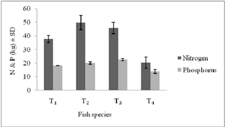 Gambar  2:  Beban  nitrogen  dan  phosphorus  dari  produksi  setiap  ton  ikan  budidaya keramba jaring apung di danau Maninjau  