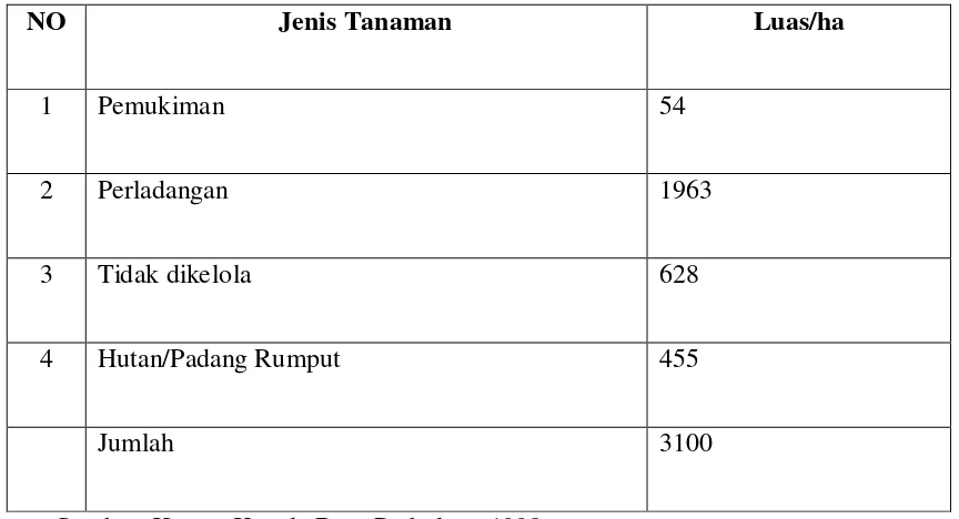 Tabel 1. Penggunaan Tanah di Desa Parbuluan 