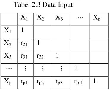 Tabel 2.3 Data Input 