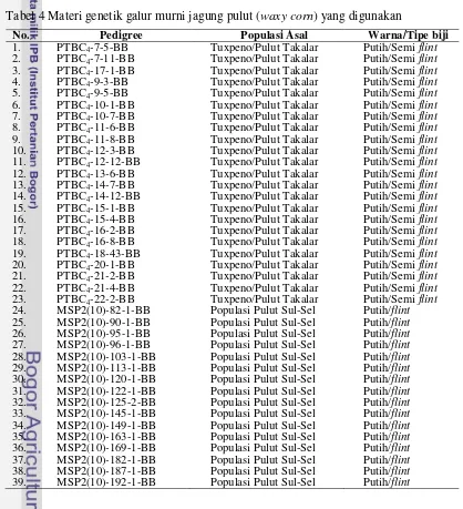 Tabel 4 Materi genetik galur murni jagung pulut (waxy corn) yang digunakan
