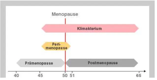 Gambar 2.7 : Fase Klimakterium (Sumber : Baziad A, Endokrinologi Ginekologi. 2008). 
