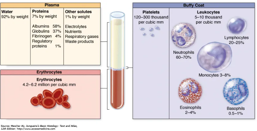 Gambar 2.2:  Komposis darah (Anthony, L.M. (2010). Junqueira’s Basic 