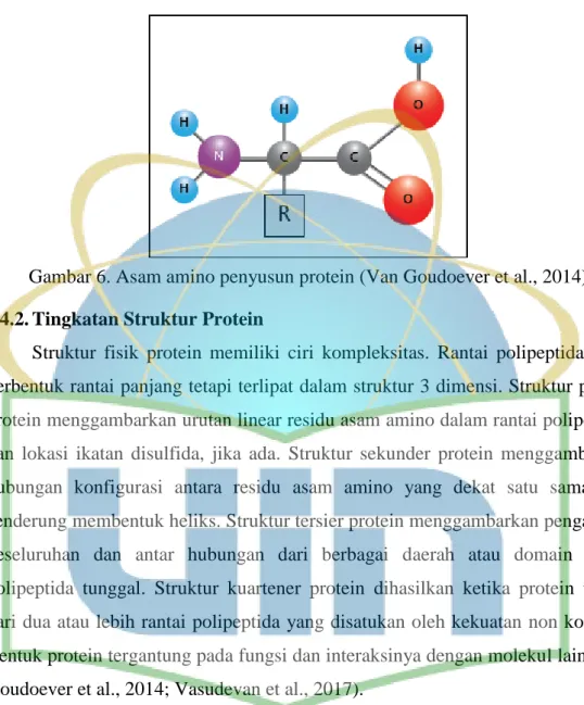 Gambar 6. Asam amino penyusun protein (Van Goudoever et al., 2014)  2.4.2. Tingkatan Struktur Protein 