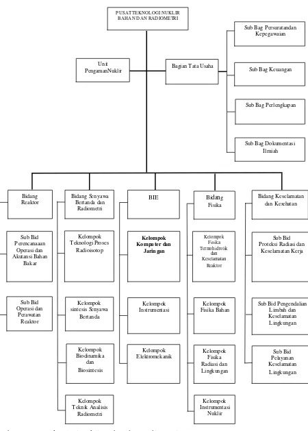 Gambar 3.1 Struktur Organisasi Pusat Teknologi Nuklir Bahan dan Radiometri 