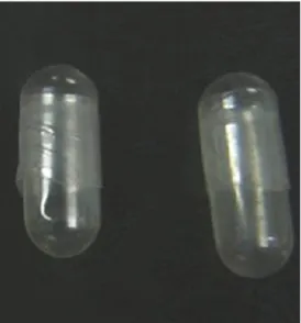 Gambar 2.1 Hard capsule OKGM DO 80% (Chen et al., 2016) 