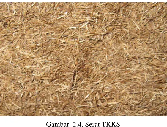 Gambar. 2.4. Serat TKKS 