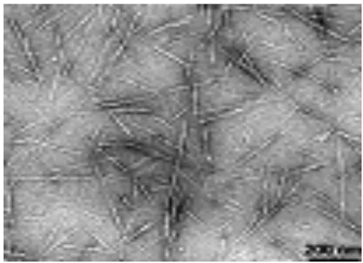 Gambar 2.5. Gambar TEM selulosa nanokristal dari  sisal (Garcia, dkk., 2006)