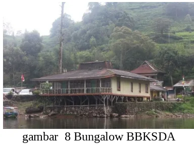 gambar  8 Bungalow BBKSDA